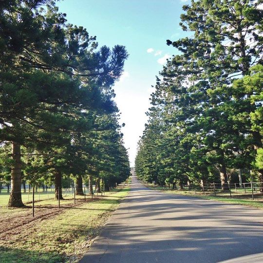 Prospect Nature Reserve