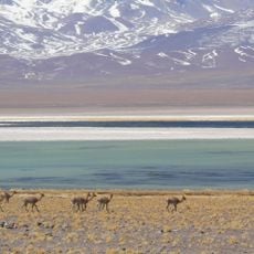 Nevado Tres Cruces National Park