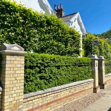 Garden Wall And Gateway With Overthrow To Wildwood Lodge