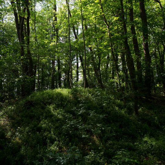 Kuruzzenschanze, Austria