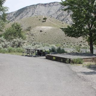 Mammoth Hot Springs Campground