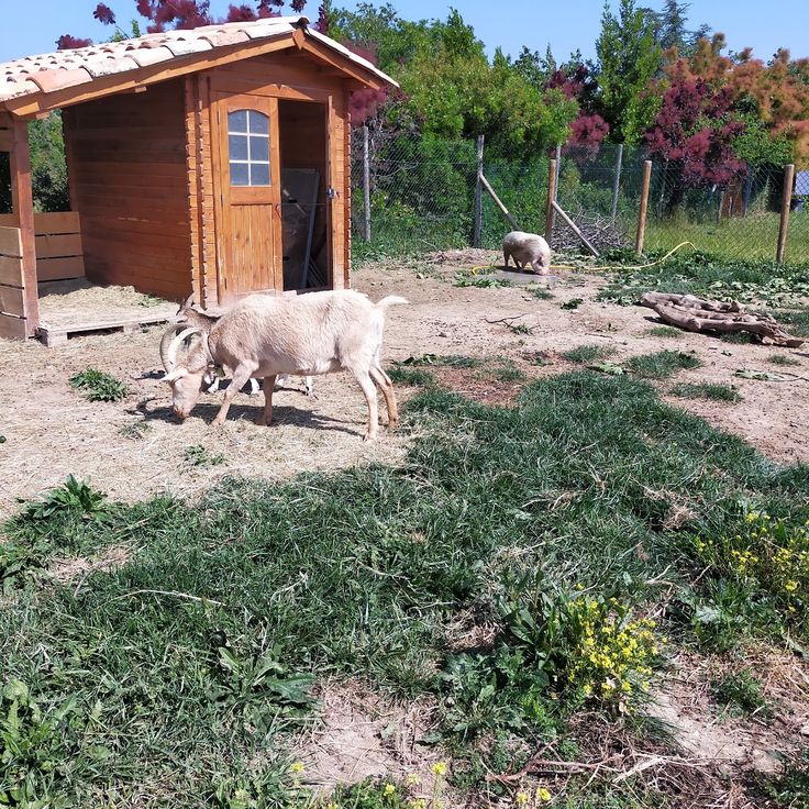 Mini Farm in the Public Garden