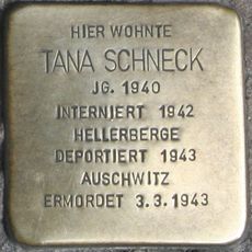 Tana Schneck