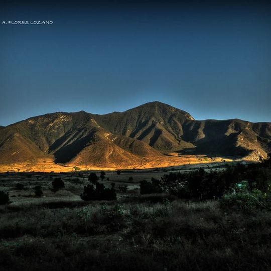 Acultzingo Municipality