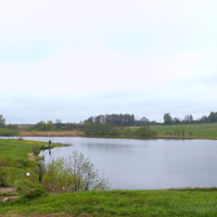 Рябцево (Калузька область)