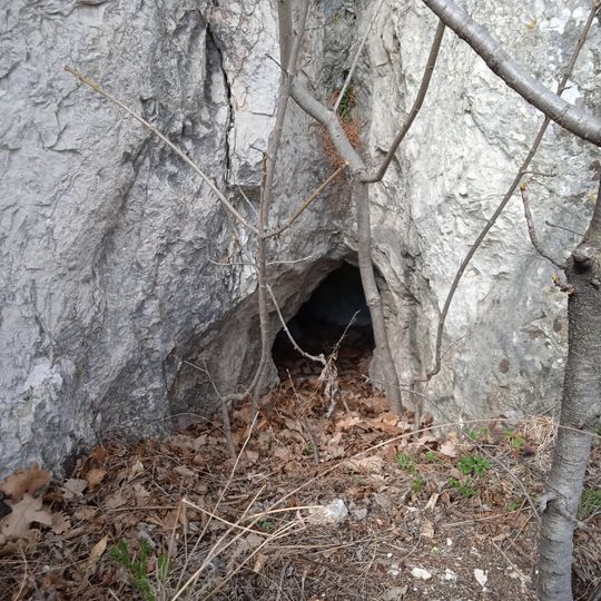 Csalamádé Cavities