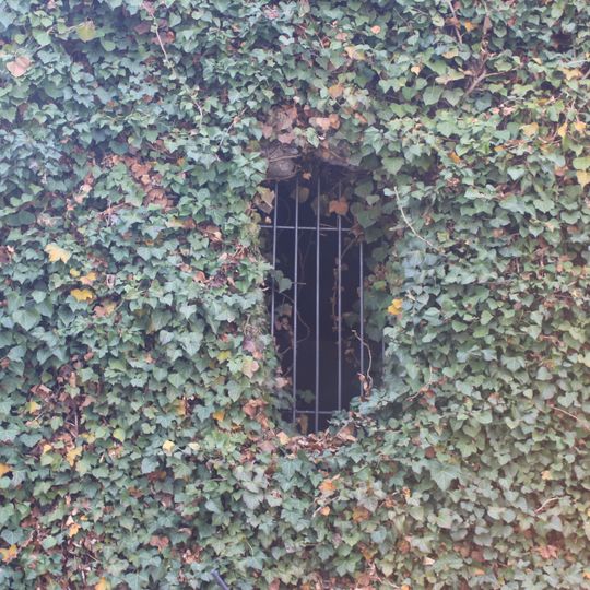 Teil d. Kardinalschütt – Nordpoterne