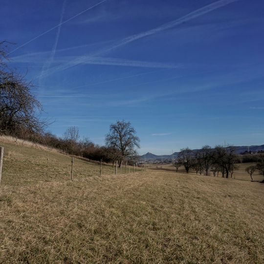 Wiesenlandschaft bei Balingen