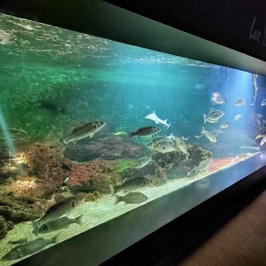 Aquarium de Vendée - Le Septième Continent