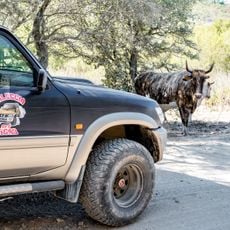 Saleccia Off Road