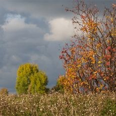 Kenozero Millî Parkı