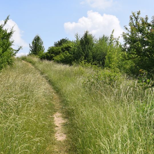 Falkenberger Krugwiesen