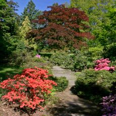 Arboretum Nový Dvůr