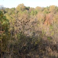 J.T. Murphy No 1 Crater