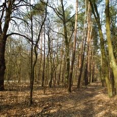 Cmentarz choleryczny na Krzyżownikach w Poznaniu