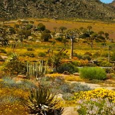Namaqualand