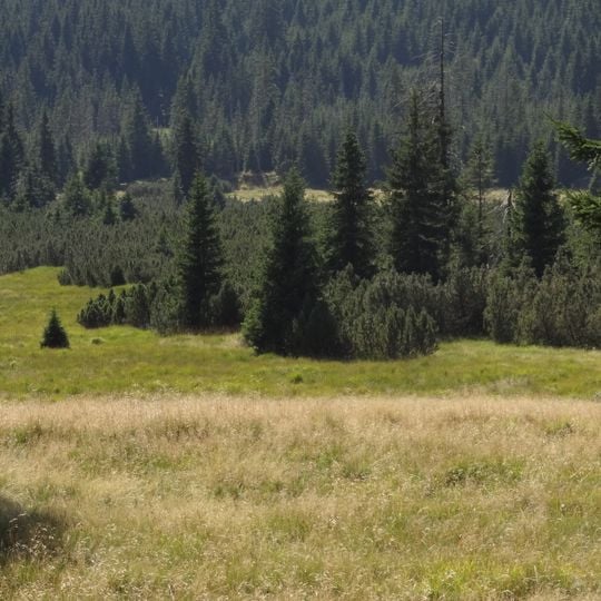 Rašeliniště Jizery