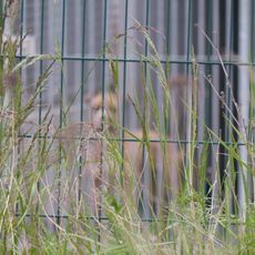 Fourrière Animale du Val d'Oise