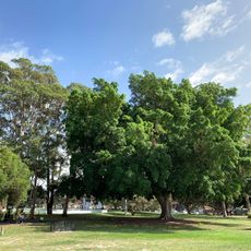 Kensington Park