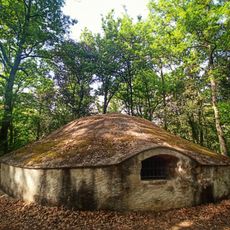 Pou de Glaç de Buscastell