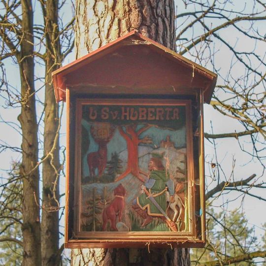 Obrázek u Podolí v lese na rozcestí U Huberta