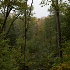 Zilo kalnu Šlīteres krauja