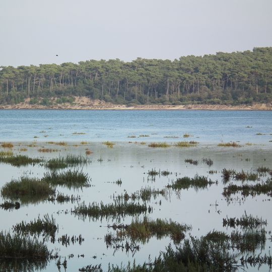 Marais du Galon d'or